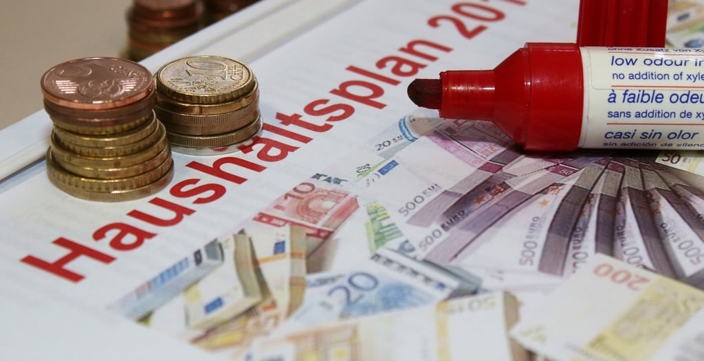 Der Haushaltsplan bietet immer Diskussionsstoff. Auch im Salzlandkreis.