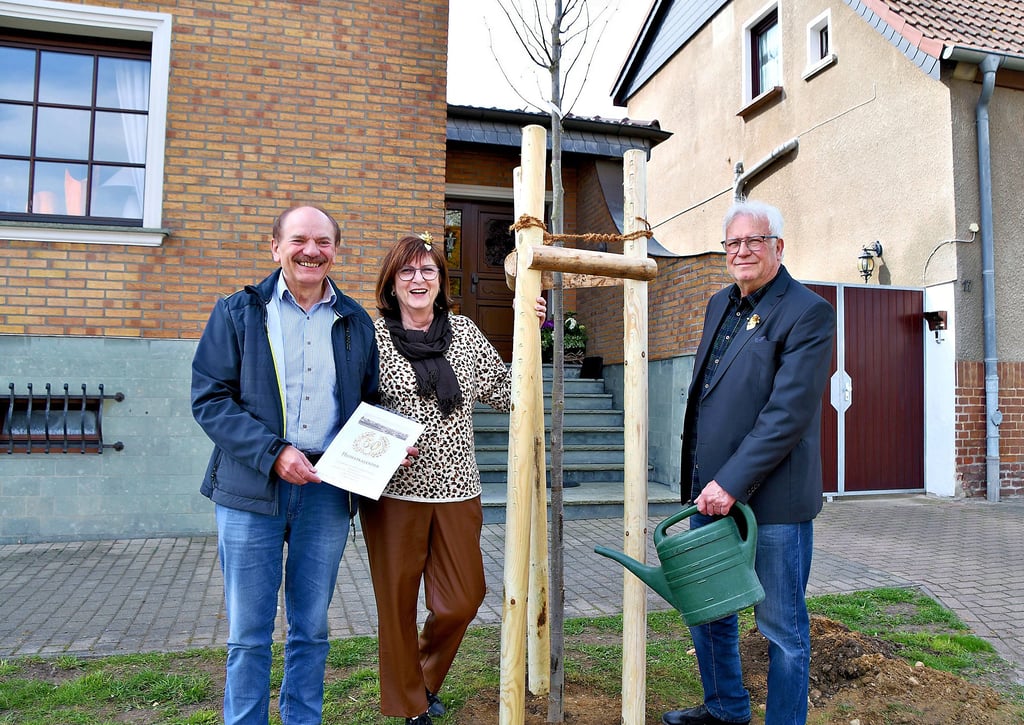 Ortsbürgermeister Korn, Helga und Reimund Frenzel. Das Ehepaar aus der Lindenstraße bekommt zu ihrer Goldenen Hochzeit eine junge Linde geschenkt.