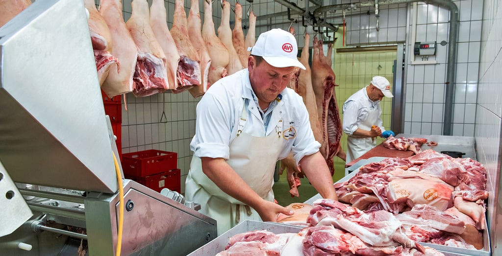 Die Fleisch- und Wurstwaren GmbH Naumburg verarbeitet seit einigen Tagen Schweine der Agrargesellschaft Prießnitz. Die Gesellen Marc Baier (l.) und Stephan Wunderlich zerlegen die frisch angelieferten Schweinehälften und bereiten sie so zum weiteren Verarbeiten unter anderem zu Wurst vor.