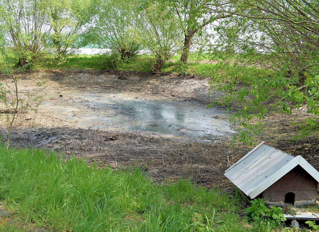 Das Entenhaus im Vordergrund erinnert an bessere Zeiten am Lübser Teich. Seit der Entnahme des Wassers ist die Geruchsbelästigung für die Anwohner nicht mehr so groß. Eine Analyse soll klären, was mit dem Schlamm geschieht.