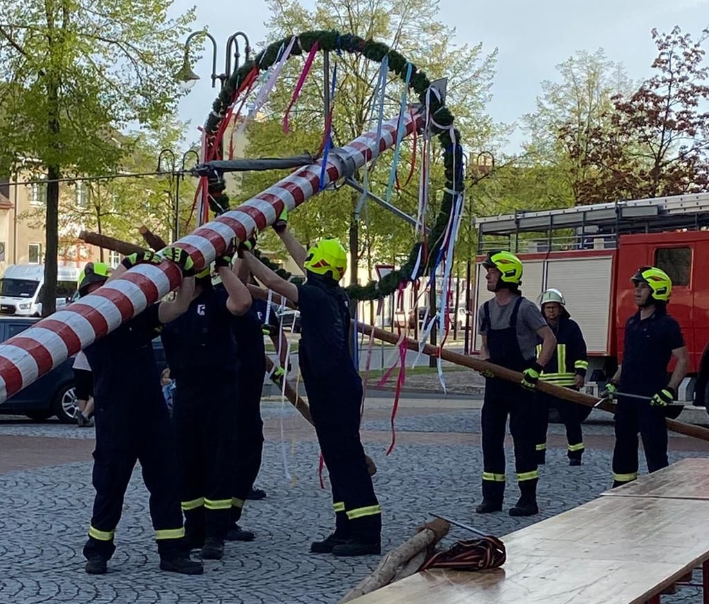 Die Freiwillige Feuerwehr Seyda stellt nach traditioneller Methode den Maibaum auf.