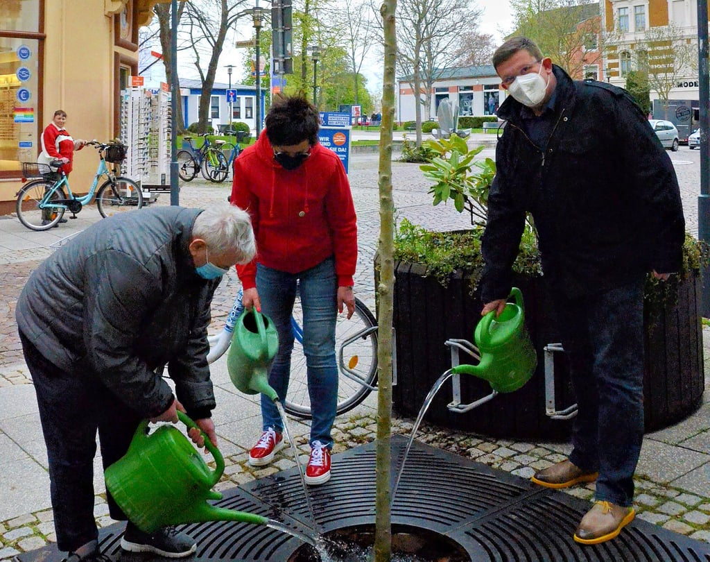 Im Jahr 2021 wurde der Baum der Inklusion vor dem Salzlandtheater in Staßfurt gepflanzt. Jedes Jahr sucht sich das Inklusion Netz Staßfurt einen neuen Standort.