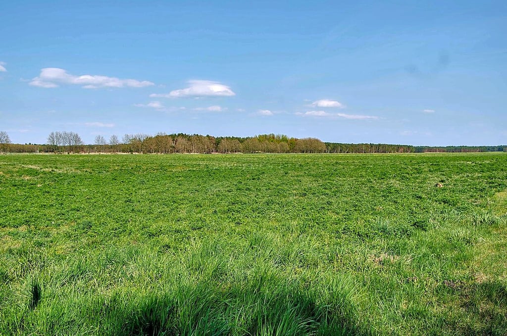 Weites Feld in Schleesen: Hier könnten die beiden großen Gewächshäuser entstehen, wenn das Projekt umgesetzt wird.