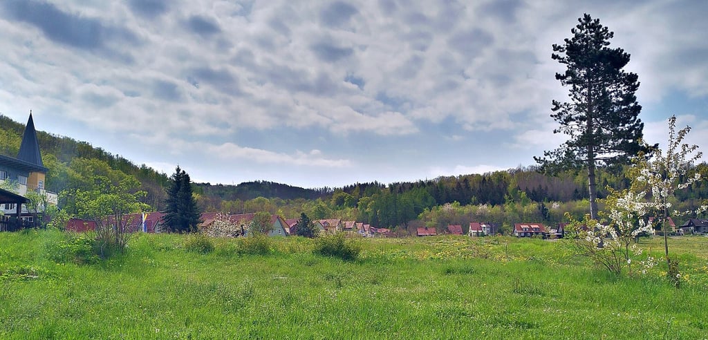 Im Wernigeröder Nesseltal zwischen Hasseröder Ferienpark (links) und Schmiedeberg soll ein neues Wohngebiet entstehen.