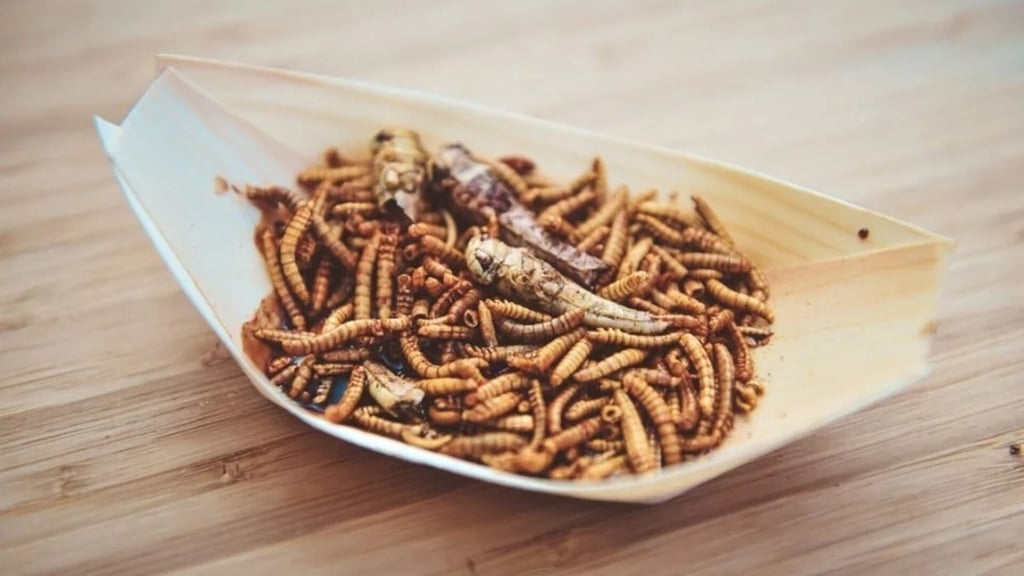 Schon mal Mehlwürmer mit Heuschrecken probiert. Am Wochenende habt ihr beim Foodfestival im Harz die Chance dazu.