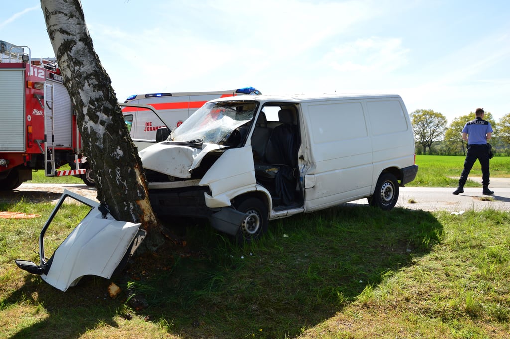 Der Transporter prallte auf der B71 bei Wiepke frontal gegen einen Baum.