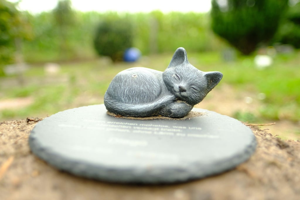 In Sangerhausen soll es bald einen Tierfriedhof geben.