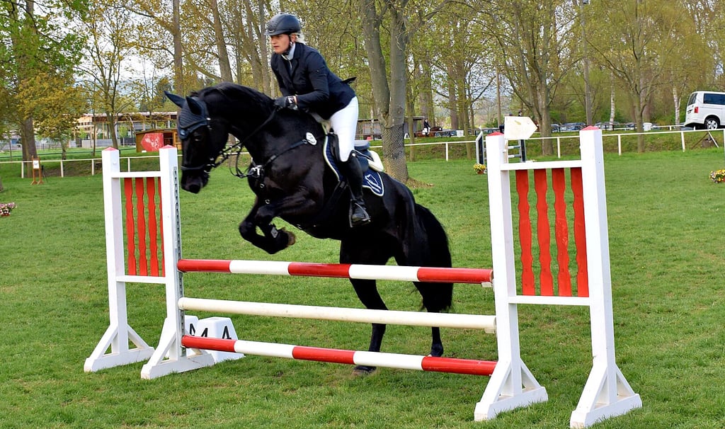 Katja Wölfer vom Königeröder Verein war beim Derenburger Reitturnier mit La Finya beim Springreiten am Start.