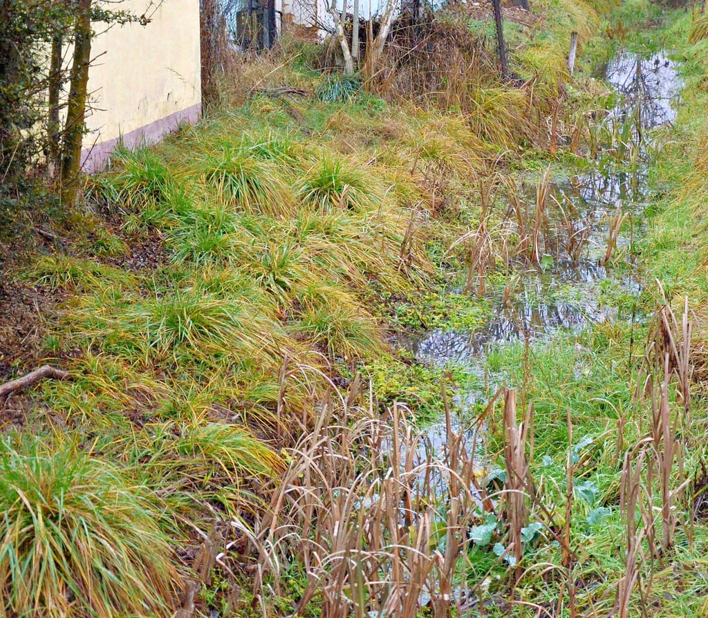 Der Marbegraben fließt auf einer Länge von 14 Kilometern von Glöthe über Üllnitz, Förderstedt und Lust bei Athensleben in die Bode. Meist führt er wenig bis gar kein Wasser. Manchmal steht das Wasser aber auch hier wie in Förderstedt ziemlich hoch.