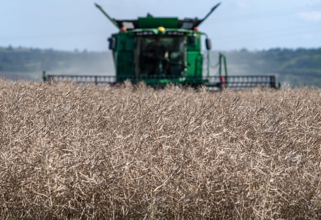 Konventionell wirtschaftende Landwirte sollen keine Flächen von der BVVG mehr pachten können.
