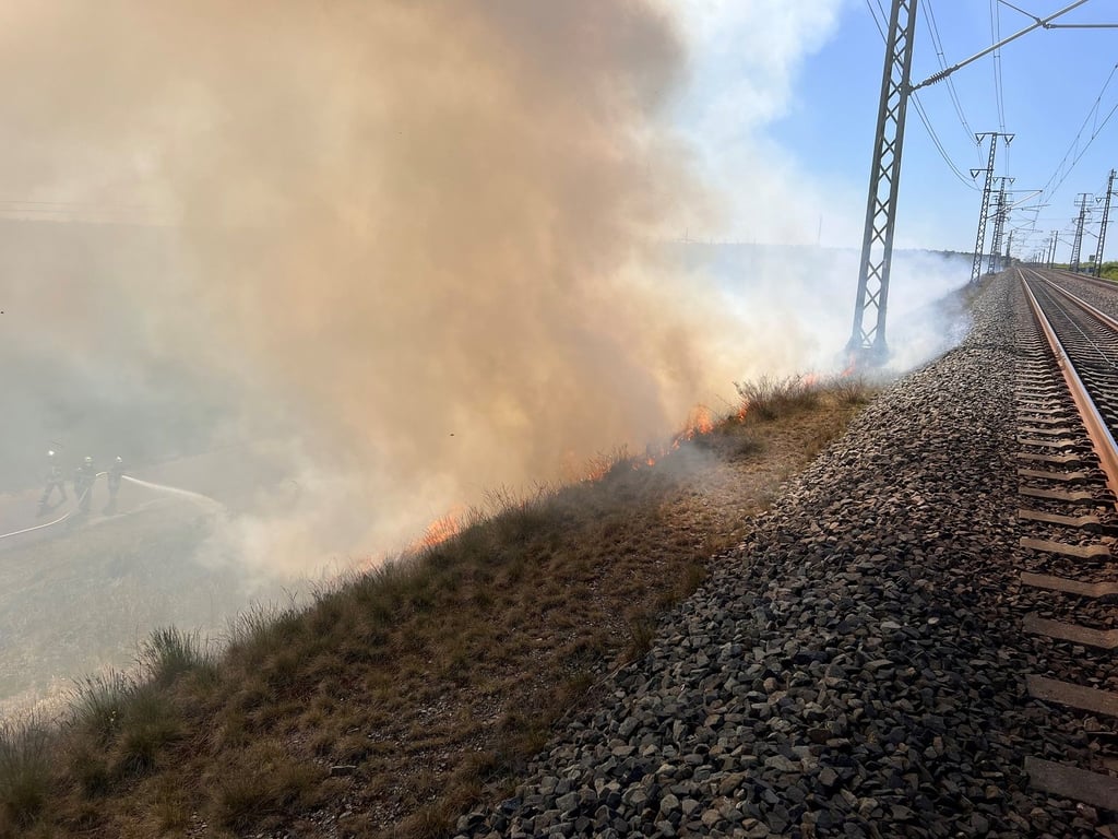 Das Feuer konnte nahe der Bahngleise in Stendal gelöscht werden.