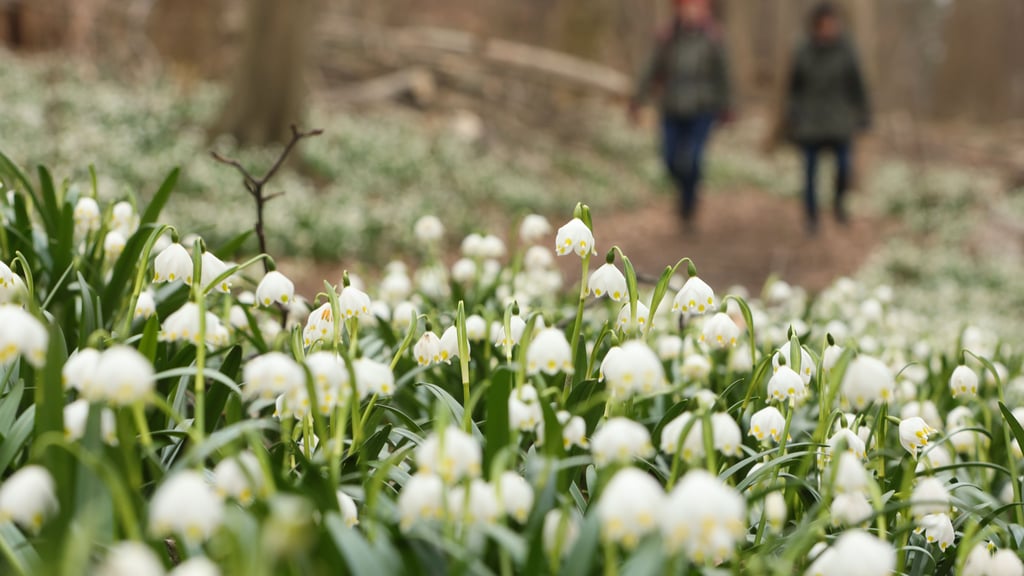 Symbolfoto - 25 Wanderziele sind im Begleitheft beschrieben.