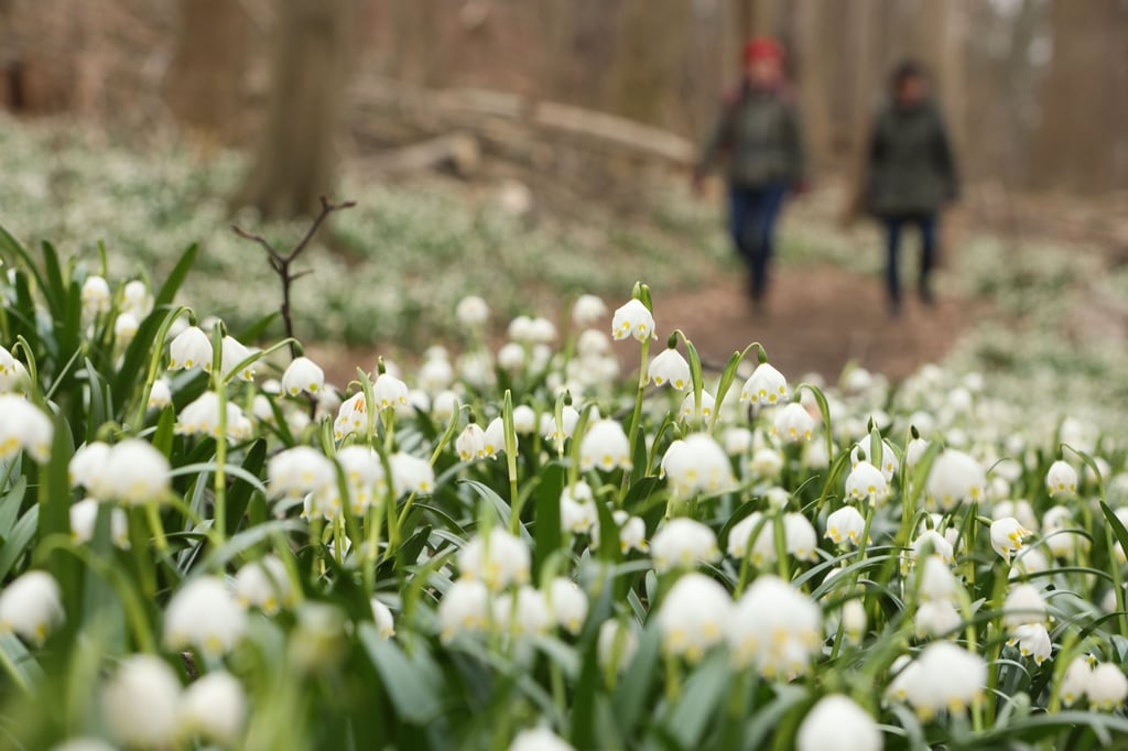 Symbolfoto - 25 Wanderziele sind im Begleitheft beschrieben.
