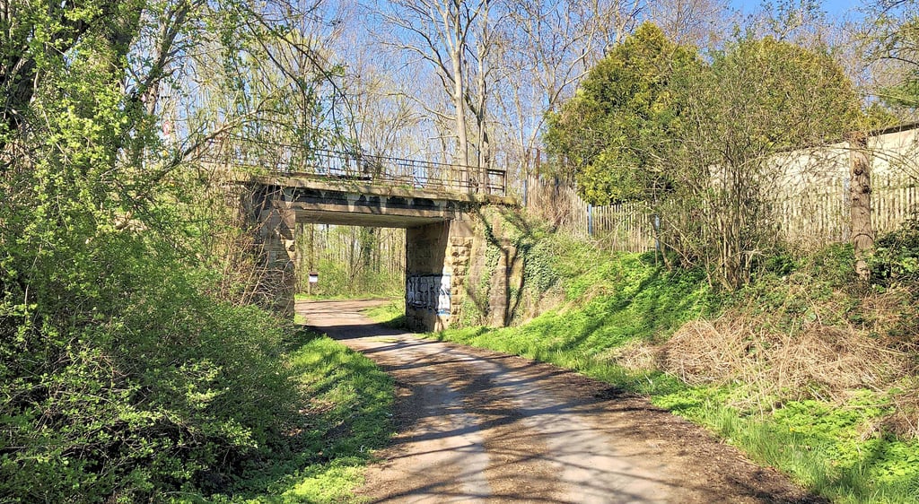 Die Bahnunterführungen sind so etwas wie Tor in den Tiergarten. Das Auwaldrelikt zwischen Zeitz und Zangenberg zieht viele an.