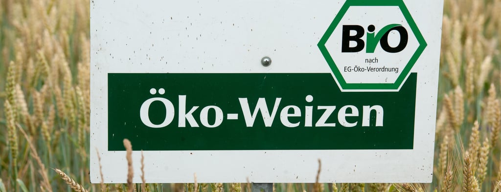 Die Nachfrage von ökologischem Weizen hat während der Corona-Pandemie stark zugenommen. So sehr, dass importiert werden musste. Die jungen Landwirte der Landwirtschaftlichen Fachhochschule Haldensleben sehen darin Chancen.