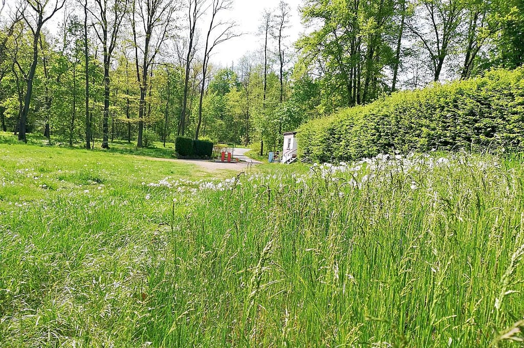 Der genaue Öffnungstermin des Waldbades Kayna ist noch unklar.