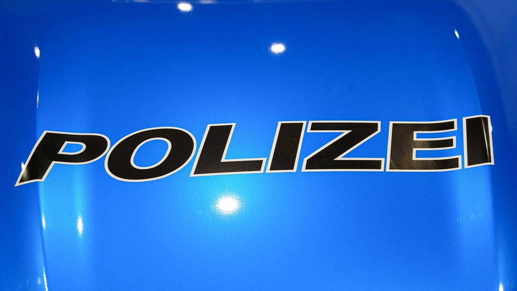 Nach einem Wildunfall muss der Pkw-Fahrer ins Krankenhaus.