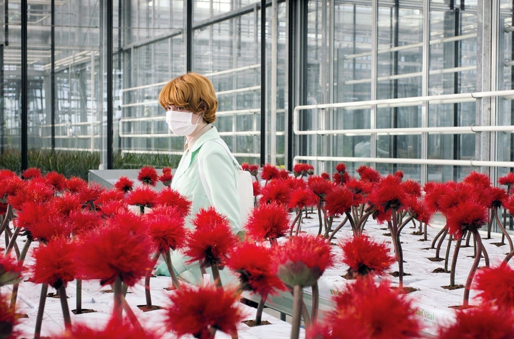 Alice (Emily Beecham) hat eine neue Pflanzenart namens "Little Joe" entwickelt.