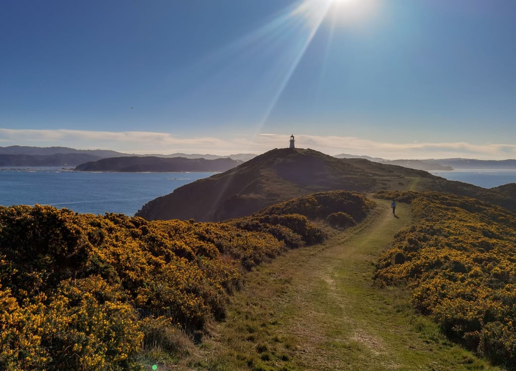 Die Küste in Eastbourne bei Wellington. Neuseeland öffnet am 31. Juli seine Grenzen wieder für Besucher aus aller Welt.