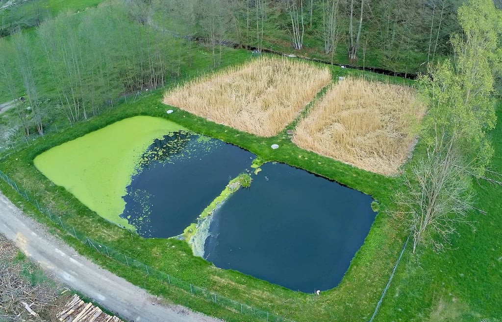 Aus der Vogelperspektive sind die Becken der Wolfsberger Teichkläranlage gut zu sehen.