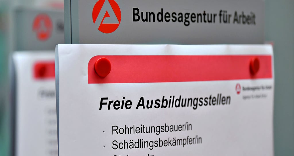 Im Jerichower Land gibt es derzeit knapp 400 freie Ausbildungsstellen, aber deutlich weniger Bewerber.