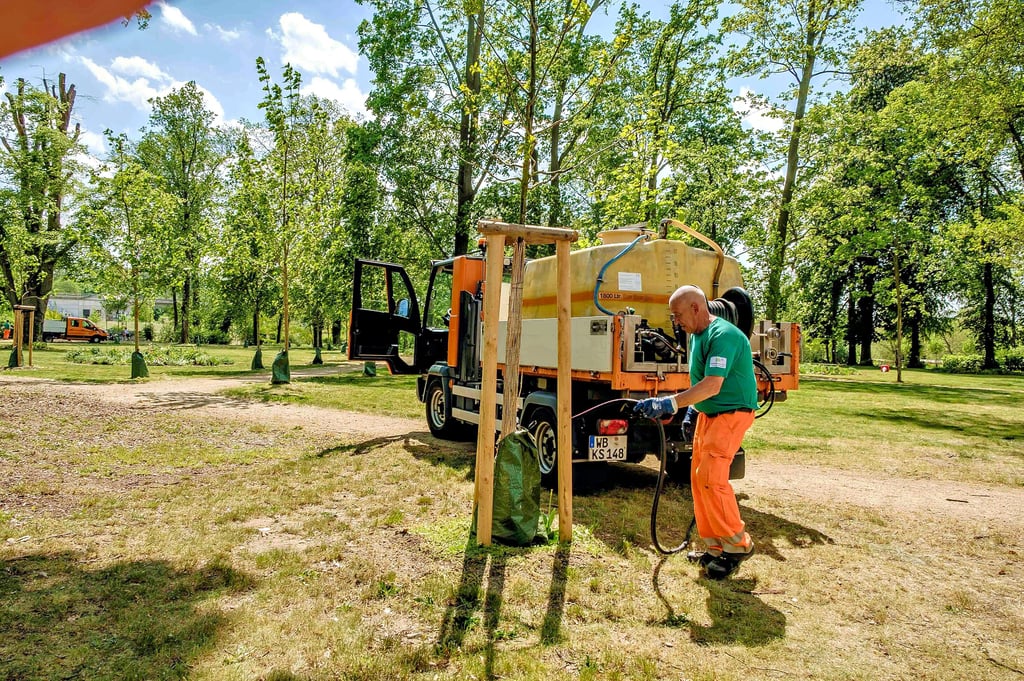 Vorbereitungen für das Uniparkfest:  Bernd Keilwagen vom Kommunalservice wässert die Bäume. Gesäubert wurde die Wiese.