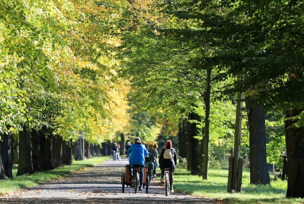 Könnte hier bald eine Rotehornbahn verkehren? Der Madeburger Stadtrat diskutiert die Erschließung des Stadtparks mit einer motorisierten Kleinbahn.