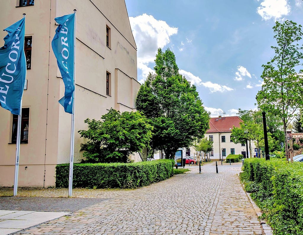 Hier in der Gegend um die Leucorea (li.) könnte nach Vorstellung der Stadt Wittenberg das bundesdeutsche Zukunftszentrum errichtet werden.