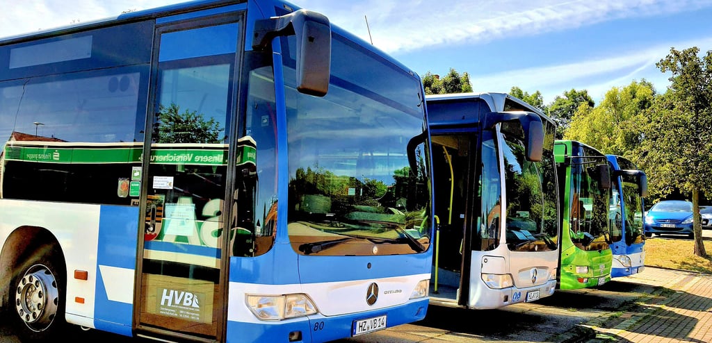 Die Busse im Wernigeröder Stadtverkehr fahren derzeit nicht so häufig wie gewöhnlich.