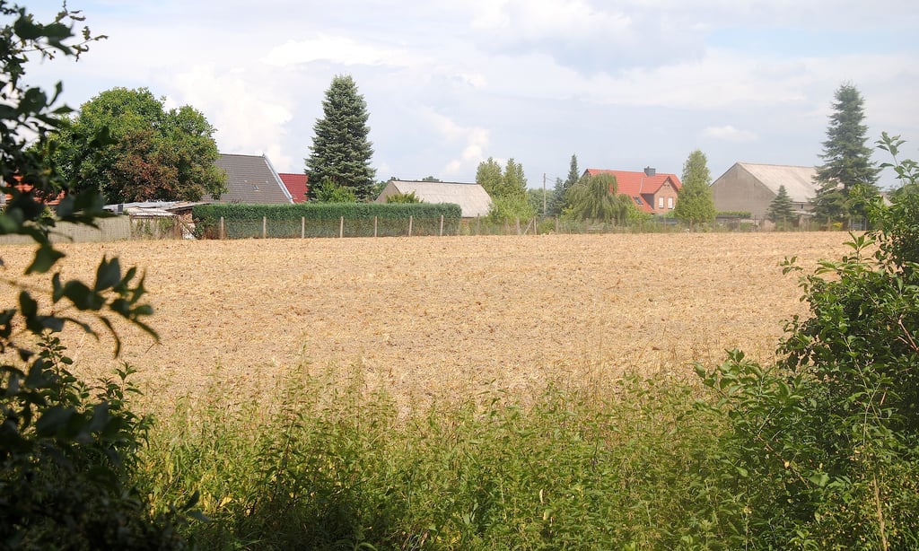 Dort wo jetzt noch Acker ist, soll schon bald das neue Rohrberger Baugebiet Am See mit 18 Parzellen entstehen.