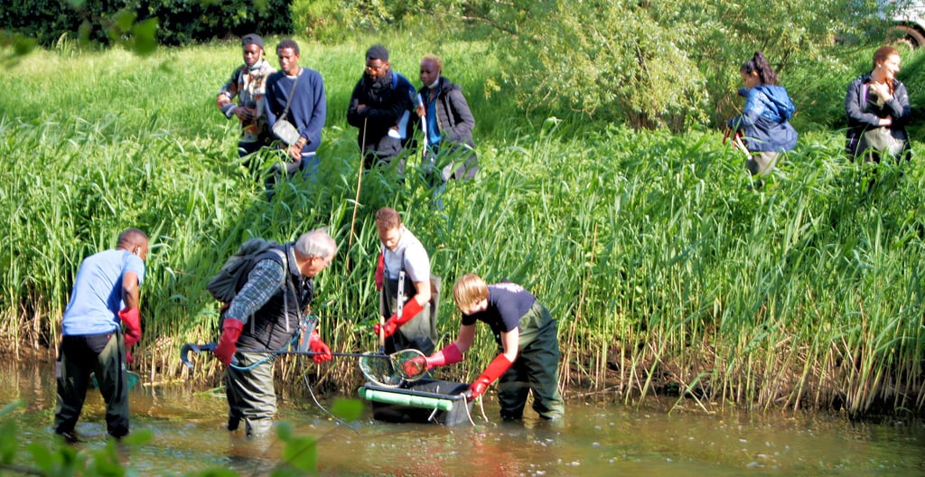 Junge Leute aus aller Welt studieren an der Fachhochschule Magdeburg-Stendal Water Engineering. Zu ihren Aufgaben gehört die Untersuchung der Ohre.