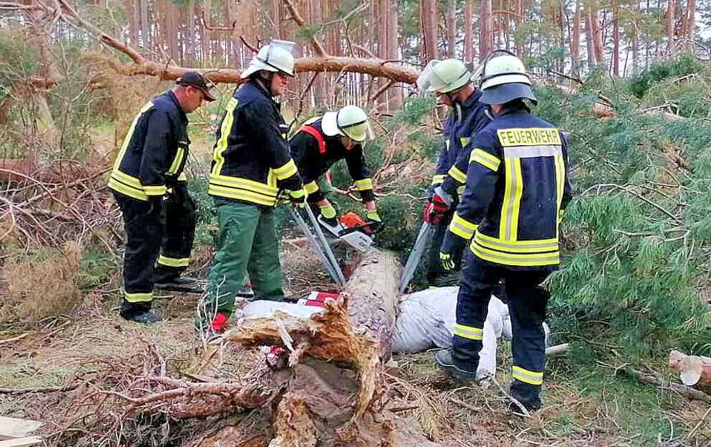 Simulieren einen Arbeitsunfall: Die Einsatzkräfte der Feuerwehren retten im Wald bei Grauingen verletzte Waldarbeiter.