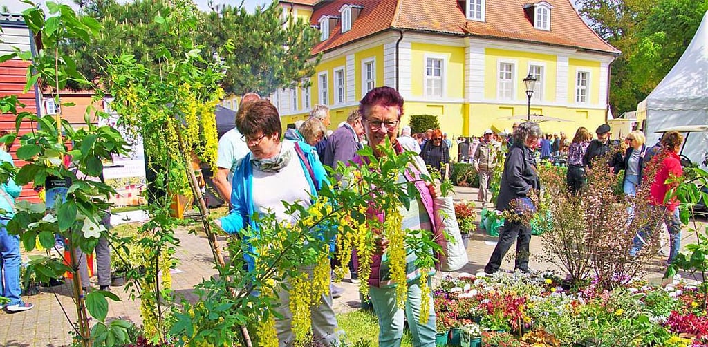 Die große Gartenmesse auf dem Bismarck-Schloss Dobbelin bei Stendal bietet eine Vielfalt für Garten, Haus, Wohnen und Mode.