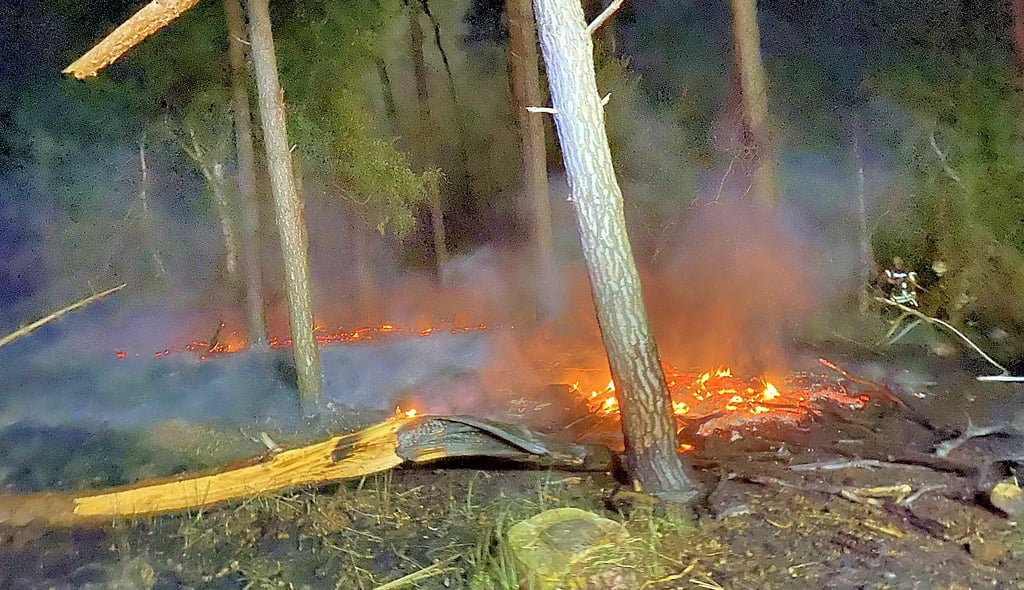 In der Nähe von Gödnitz haben in der Nacht zu Sonntag etwa 2500 Quadratmeter Wald gebrannt.