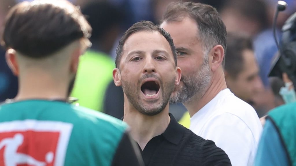 Champions-League-Schrei: Domenico Tedesco.