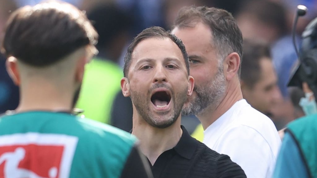 Champions-League-Schrei: Domenico Tedesco.