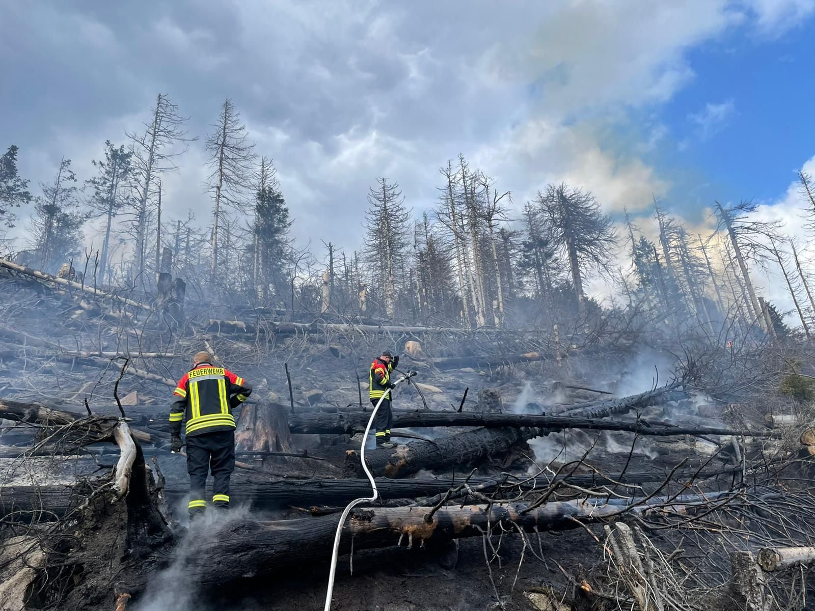 Nach Feuern Am Brocken: Neue Pläne Gegen Waldbrände Im Harz