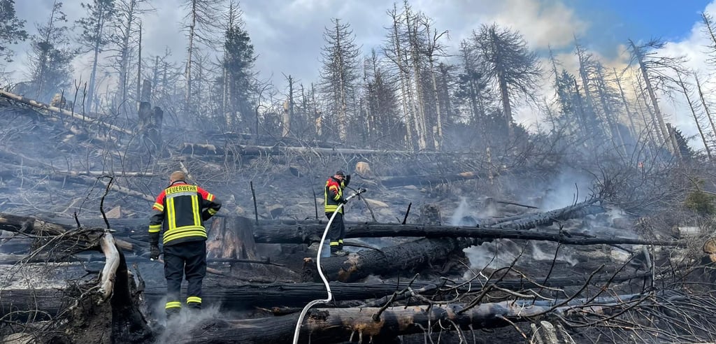 Feuerwehrleuten fällt es häufig schwer, Waldbrände im Harz zu erreichen - wie hier Ende April am Brocken.