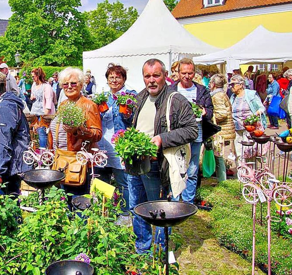 Besonders begehrt sind Pflanzen bei den Besuchern der LebensArt-Messe auf dem Bismarck-Schloss Döbbelin bei Stendal.