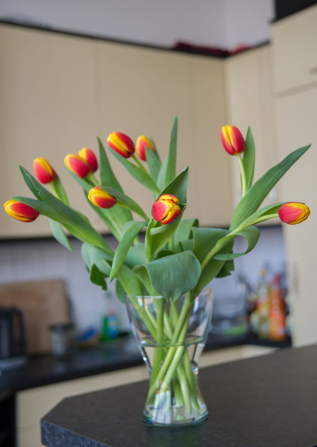 Tulpen können weiterwachsen, auch wenn sie schon in der Vase stehen.