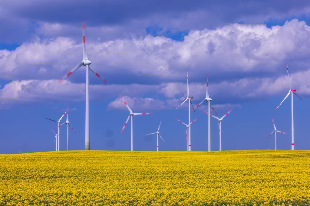 Windräder auf einem Feld