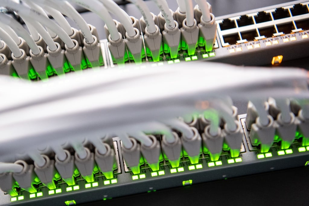 Bei sogenannten DDoS-Attacken („Distributed Denial of Service“) versuchen Angreifer, Server mit einer Flut von Anfragen lahmzulegen.