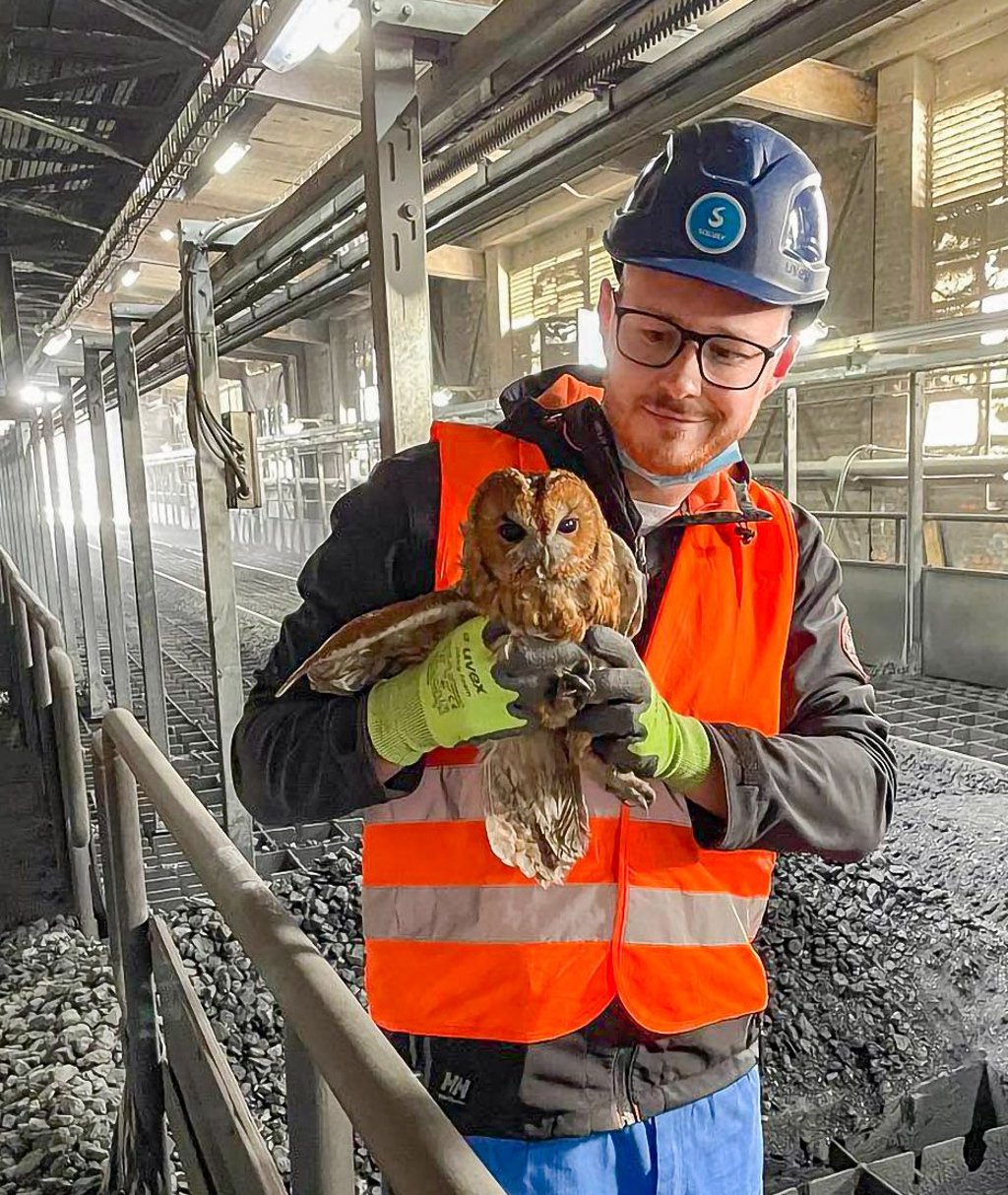 Franz Fiedler aus Bernburg hat im Solvay-Werk einen Waldkauz gerettet.