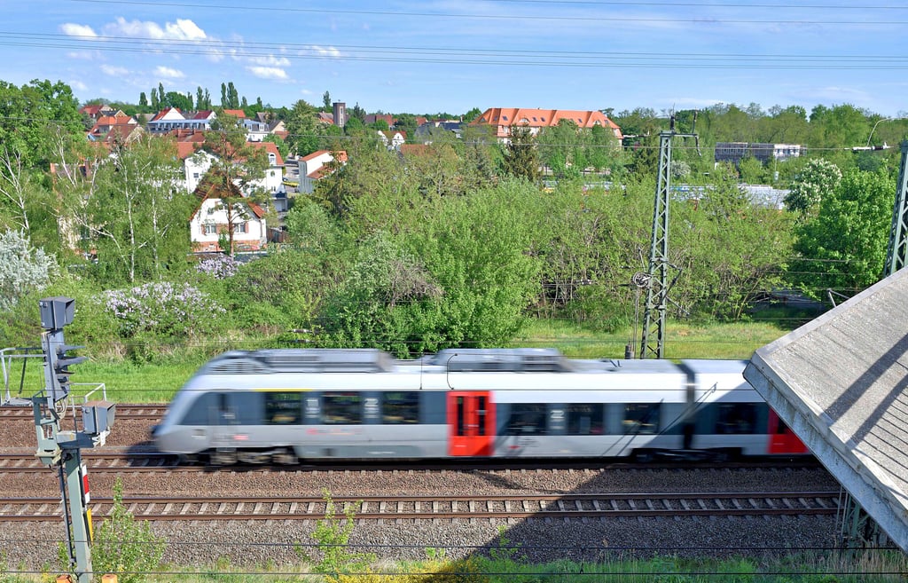 Der Bahnlärm von den Gleisen lässt die Holzweißiger immer noch nicht zur Ruhe kommen.