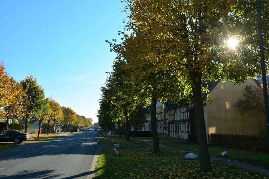 In Neuendorf am Damm wird die Ortsdurchfahrt saniert. Dafür müssen jetzt sogar Versorgungsleitungen weichen.