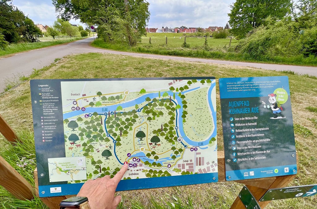 Am Kühnauer See, hier an der Kreuzung hinter der Deichdurchfahrt, soll ein Rastplatz entstehen.