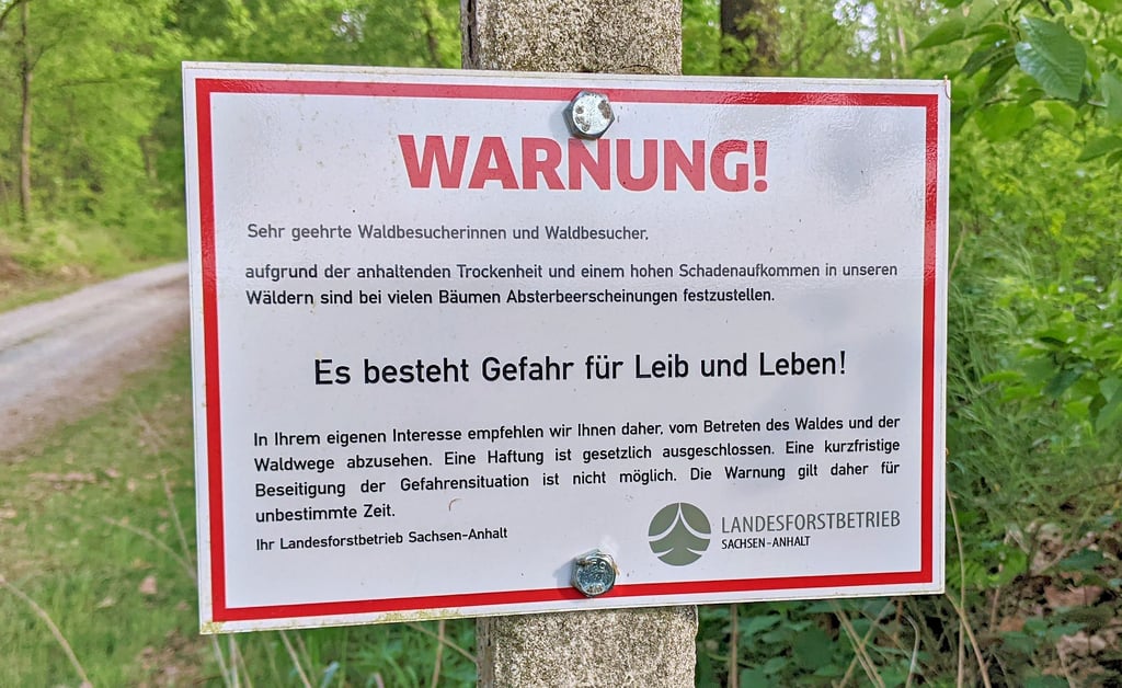 Der Wald hat auch eine Erholungsfunktion. Doch vielerorts warnen Schilder wie dieses vor dem Betreten, denn die Schäden an den Bäumen sind so groß, dass ständig Gefahr droht, dass sie fallen. „Eine kurzfristige Beseitigung der Gefahrensituation ist nicht möglich." Fehlt der Forst das Personal zum Aufräumen?
