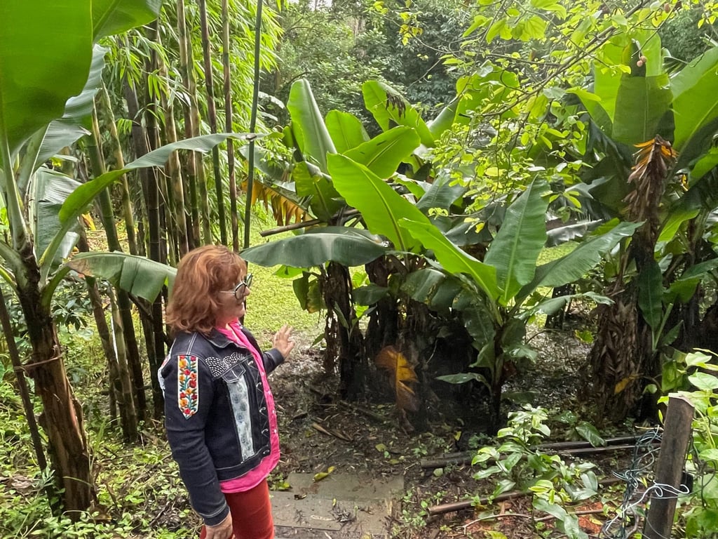 April Sampson-Kelly inmitten ihrer „Silk Farm“: Der „Food Forest“ oder Ernährungs-Garten wurde nach den Prinzipien der Permakultur-Lehre angelegt.