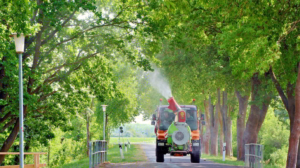 In der „Wische“ (hier am Friedhof Lichterfelde) war die mobile Biozid-Spritze am Montag unterwegs. Mit der Aktion wird der Eichenprozessionsspinner bekämpft.