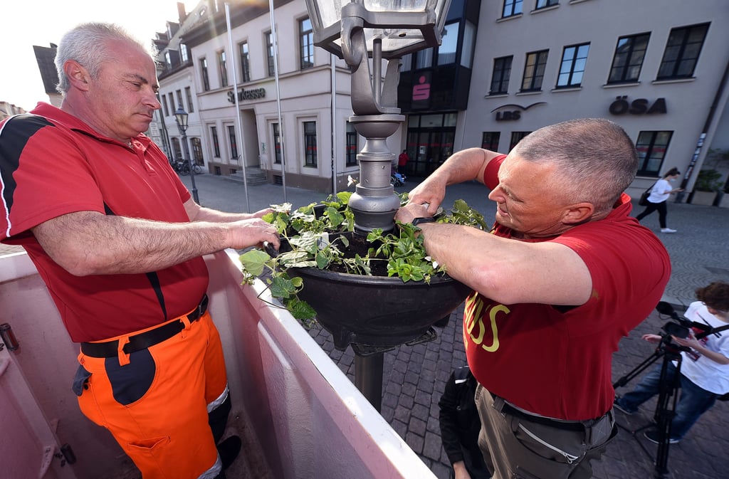 Blumenampeln werden am Markt angebracht.